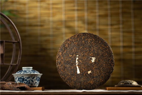 醇厚如歌 2023年兴海布朗乔木生态饼茶特制精品之道